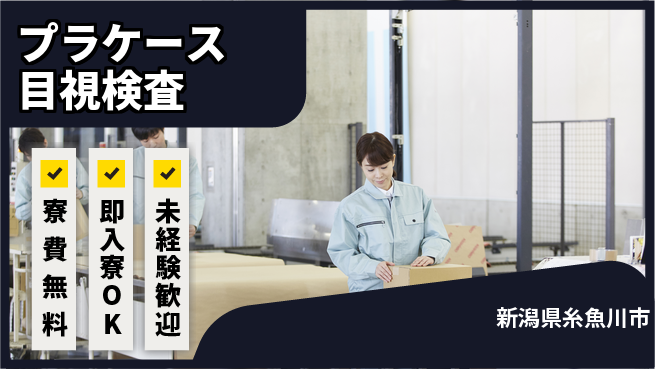 株式会社ワールドインテック 清潔環境で安心【プラケース目視検査】の工場求人・派遣情報 | ジョバディ工場