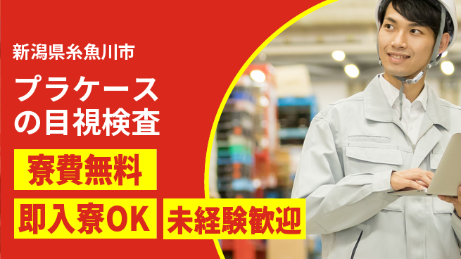 株式会社ワールドインテック 【プラケースの目視検査】の工場求人・派遣情報 | ジョバディ工場