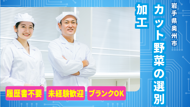 株式会社綜合キャリアオプション 【カット野菜の選別加工】の工場求人・派遣情報 | ジョバディ工場