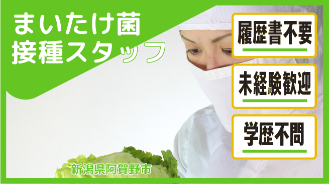 株式会社綜合キャリアオプション 【まいたけ菌接種スタッフ】の工場求人・派遣情報 | ジョバディ工場