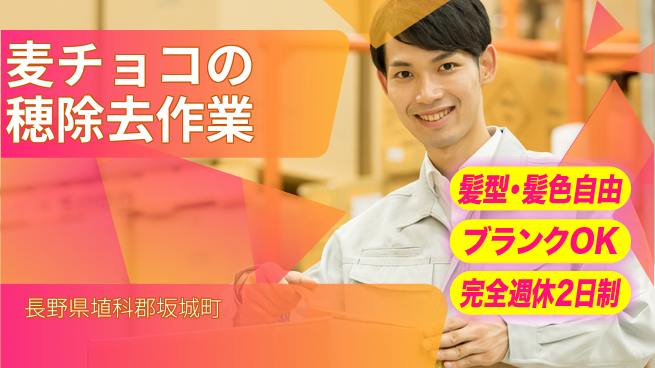 株式会社綜合キャリアオプション 週2日お休み【麦チョコの穂除去作業】の工場求人・派遣情報 | ジョバディ工場
