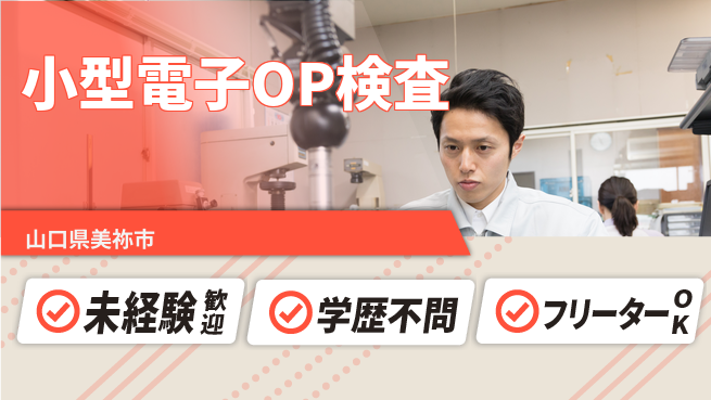 日研トータルソーシング株式会社　製造事業部 【小型電子のOP検】の工場求人・派遣情報 | ジョバディ工場