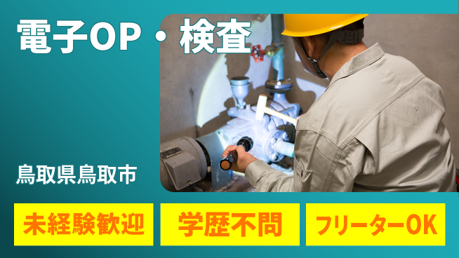 日研トータルソーシング株式会社　製造事業部 【電子OP・検査】の工場求人・派遣情報 | ジョバディ工場