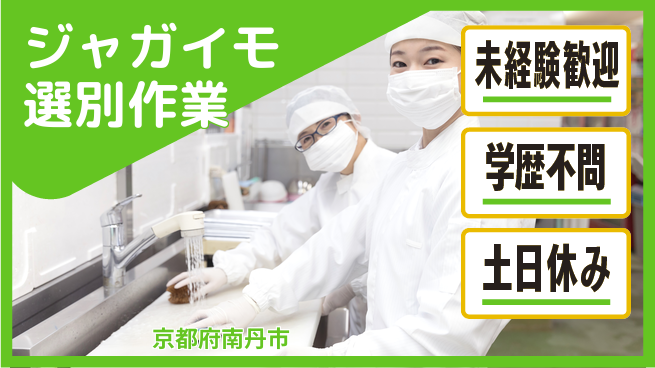 ＵＴエージェント株式会社 安心スタート【ジャガイモ選別作業】の工場求人・派遣情報 | ジョバディ工場