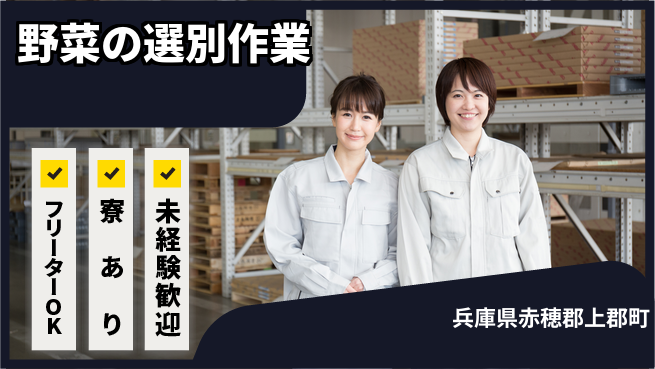 ＵＴエージェント株式会社 【野菜の選別作業】の工場求人・派遣情報 | ジョバディ工場