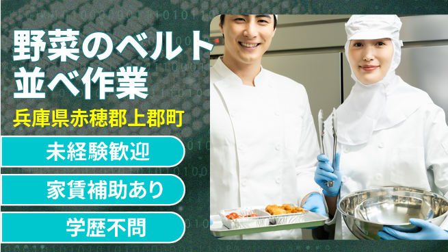 ＵＴエージェント株式会社 【野菜のベルト並べ作業】の工場求人・派遣情報 | ジョバディ工場