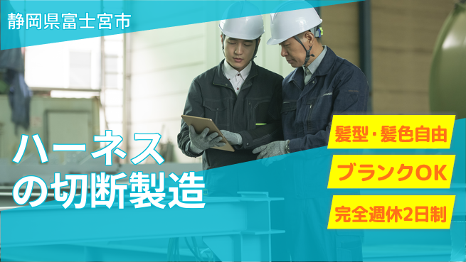 株式会社綜合キャリアオプション ハーネスの切断製造の工場求人・派遣情報 | ジョバディ工場