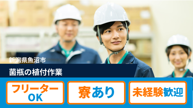 東洋ワーク株式会社 【菌瓶の植付作業】の工場求人・派遣情報 | ジョバディ工場